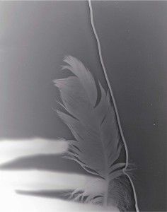 Photogram of a feather, a piece of string and blurred solarised human fingers