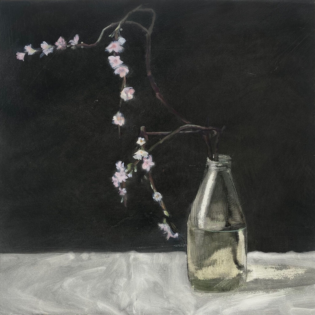 Stark small pink blossoms on wiry branches which are held up by a milk bottle, half filled with greenish water, with a dark black background. The milk bottle sits on a white table cloth, but the shadows make it murky grey overall.