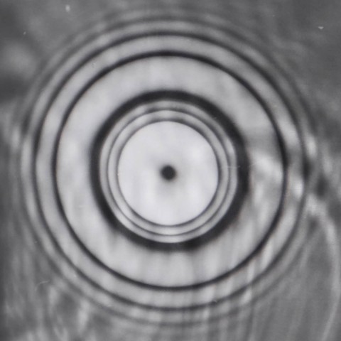 Film still shows concentric circle ripples on water suface