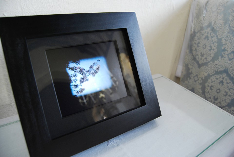 Close-up photo of the East Spring Birth film playing within a black-bordered picture frame