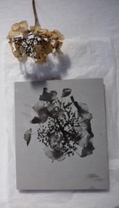 Artwork and the corresponding flora that the work was made from, on white tissue paper