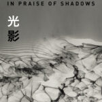 IN PRAISE OF SHADOWS