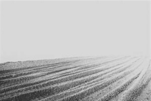 B & w image of tramlines in gravel beach