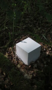 A crisp edged white cube sits on an area of a leafy woodland, with twigs and dying bluebell stems surrounding. The light on the three faces of the cube have very differing amounts of brightness. There is a shadow of a flora cutting over the top face of the cube.