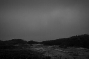 ray and black photograph of dimming light in the large space of the sjky, with bushes and maybe a lane at the bottom third of the composition.