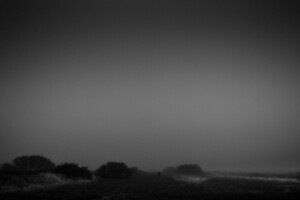 Gray and black photograph of dimming light in the large space of the sjky, with bushes and maybe a lane at the bottom of the composition.