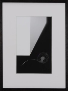 A thin black frame surrounds a white mounted, tall, rectangular work depicting the corner of a white cube in the top left side and then its grey shadow recedes back and upwards towards the back right corner. At the front, there is a the faint white silhouette of a dandelion and its curly stalk positioned in relation to the crisp white corner of the cube.