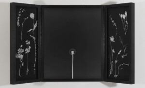 Long black framed triptych, with a white silhouette of a dandelion in the middle and then on the two narrow outer flaps; the white silhouettes of various weeds. It has two long, dark hinges running down between the three panels. In this image the edge panels are slightly folded inwards, towards the viewer.