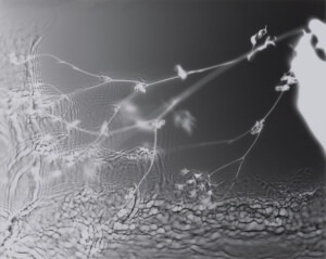 A rectangular piece, mostly dark grey with the white silhouette of the edge of a hand holding a spindly weed which seems to be dragging water, creating a myriad of black and white water patterns, including interference.